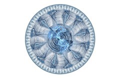 2014 04 28 blues 20-white.jpg